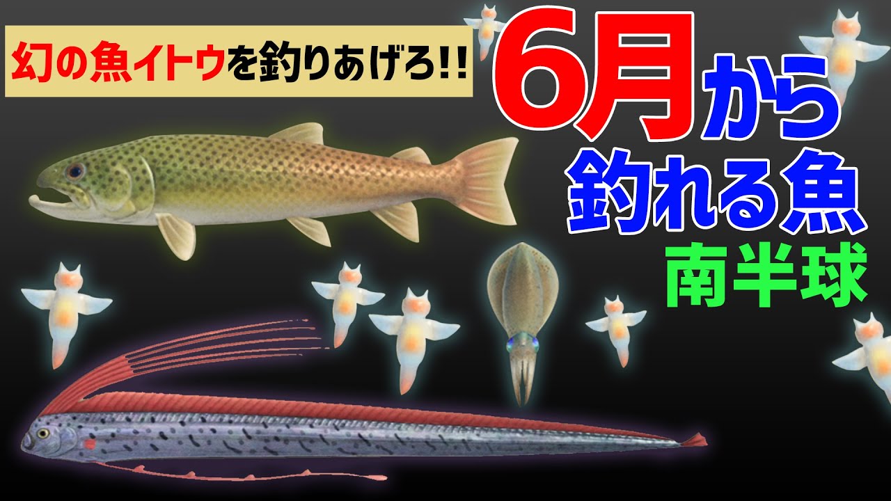 魚 あつ森 南半球 9月