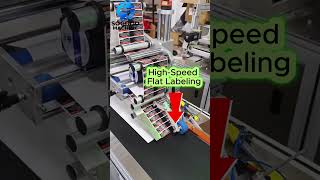 Automatic Flat Surface Labeling Machine | High Precision Label Applicator