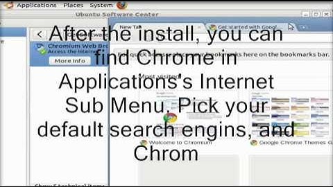 Install Google Chrome Web Browser with Ubuntu 10.10 Software Center