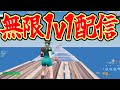 クリップを撮るために無限1v1 【フォートナイト/Fortnite】