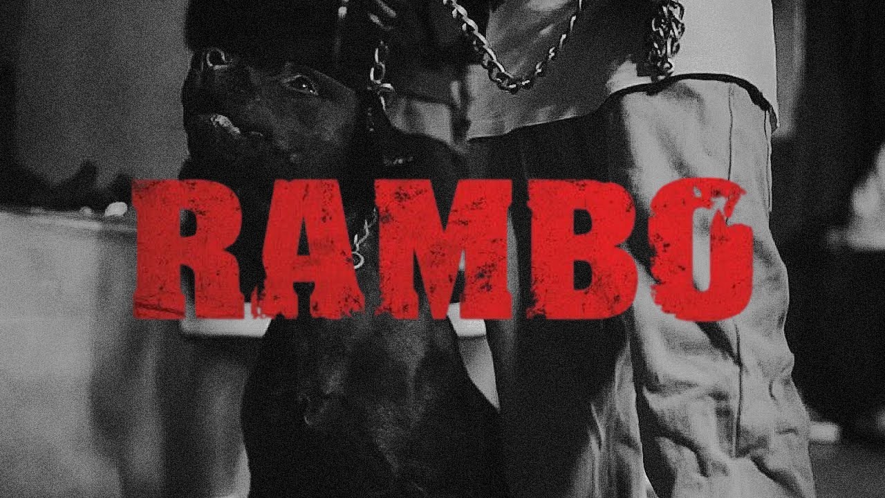 Watch DHIRAJ x OG - Rambo (Official Music Video) on YouTube Watch DHIRAJ x OG - Rambo (Official Music Video) on YouTube