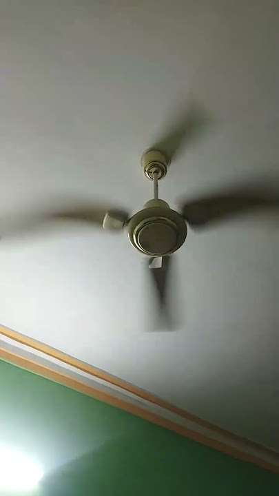 Suthutu suthtu fan suthu inthru #shortvideos #shortsfeed