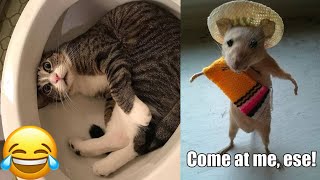 Funny Animals 2022 - The Best Funny Animal Videos for Watching in 2022 🤣😂