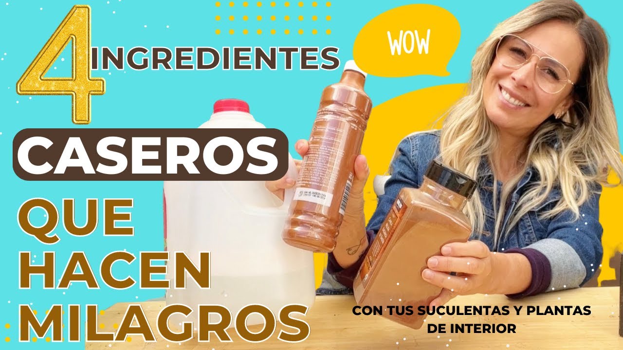 4 Ingredientes que hacen milagros con tus plantas #remedioscaseros #plagas #plagasensuculentas