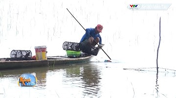 NIỀM VUI MÙA NƯỚC NỔI Ở MIỀN TÂY