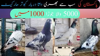 لاہورایشیا کی سب سے بڑی داتا دربار کبوتر مارکیٹ ||pakistan niggedt pigeon marlet Hindi+Urdu+HD