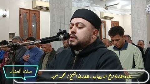 تلاوه هادئة تريح الاعصاب.. للقارئ الشيخ / محمد سمير من صلاة العشاء والتراويح الليلة 6 رمضان 1446ه‍