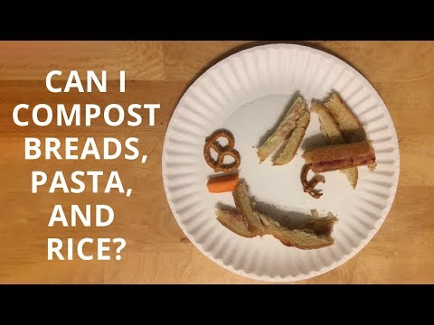 Video: Kan jeg kompostere brød – er det sikkert at tilføje brød til kompost