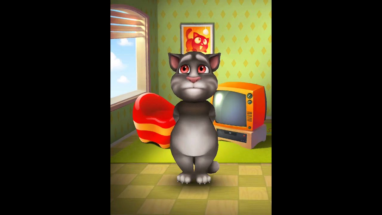[My Talking Tom] Fat cat has a tummy ache!!! YouTube