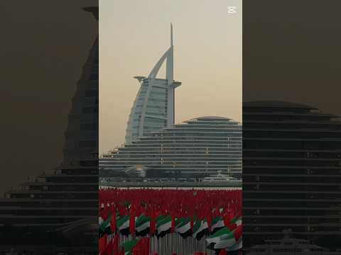 UAE flag garden Jumeira #shorts#shortsfeed#uaeflagday