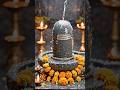 🕉️ When No One Is There, Shiv Is Watching Over You…#shiva #faith #love #shiv