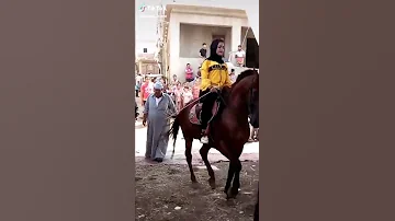 حصان يرقص علي مهرجان قلبي دفنته 