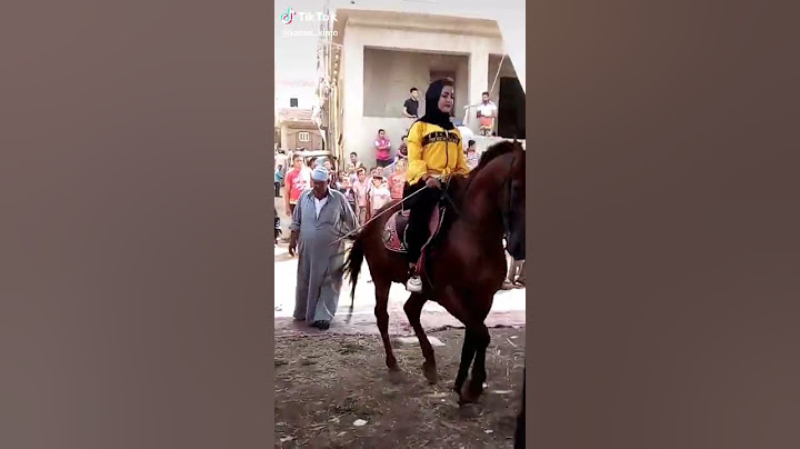 حصان يرقص علي مهرجان قلبي دفنته