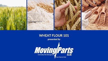 Wheat Flour 101 Webinar 2024