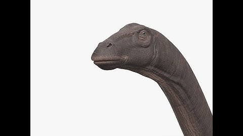 3D Model Brontosaurus HD at 3DExport.com