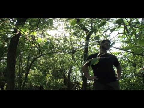 Far - Coheed and Cambria :: A Peasant Vision Produ...