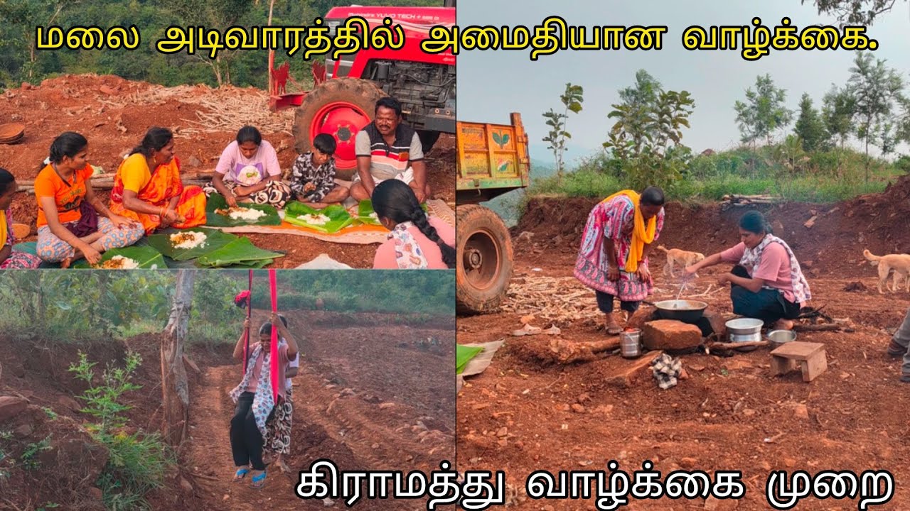 ✨🌳மலை அடிவாரத்தில் நிம்மதியான வாழ்கை👨‍👩‍👧💥|spending time in forest with my family👪🍃❤️