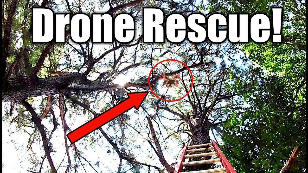 Drone Stuck in Tree Retrieval System YouTube