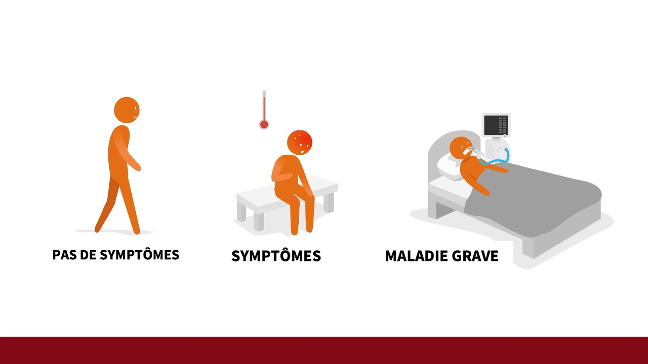 1  Caractéristiques principales du COVID-19