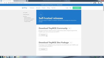 JavaScript - Quick TinyMCE test
