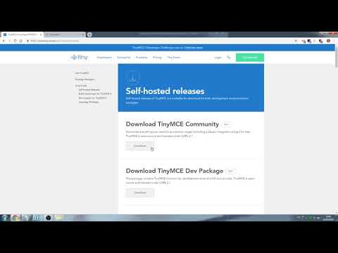 JavaScript - Quick TinyMCE test