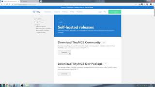 JavaScript - Quick TinyMCE test