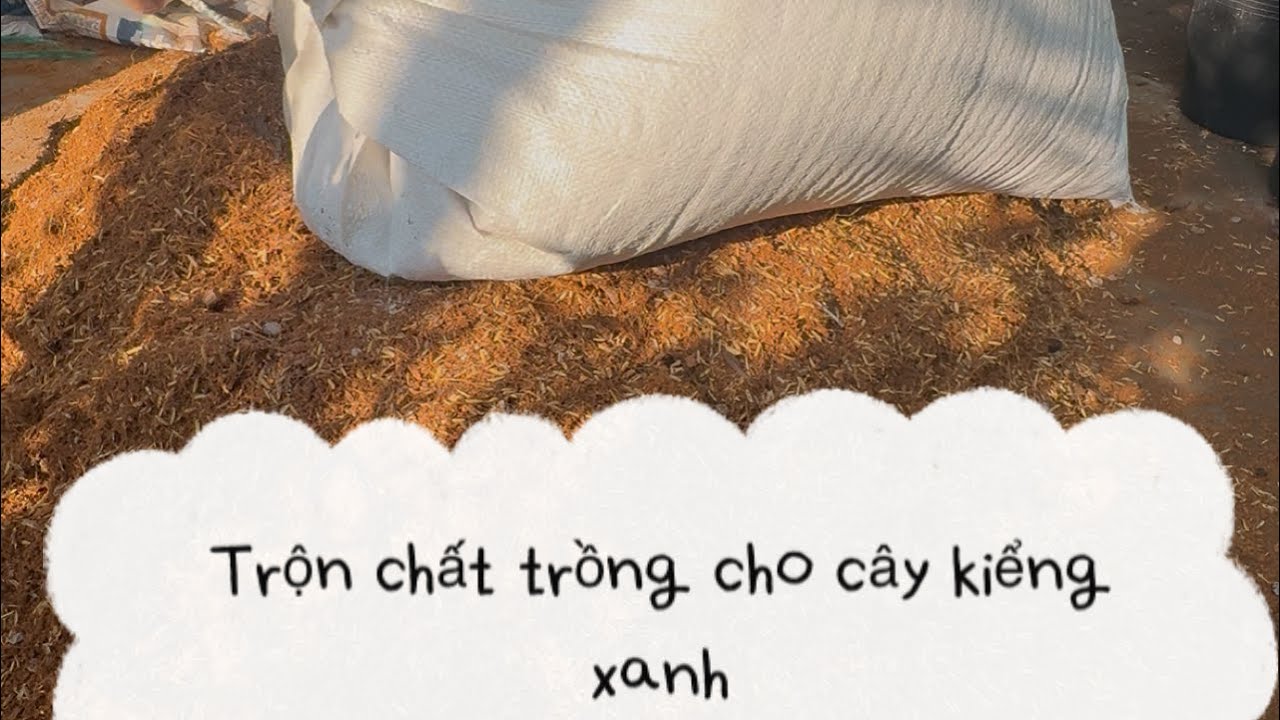 Trộn chất trồng cho cây kiểng xanh ￼