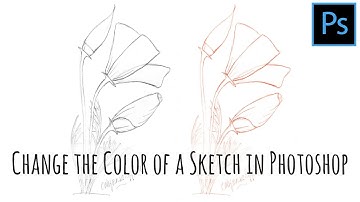 Photoshop - Recolor Line Art - Change the Color of a Sketch