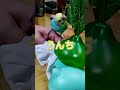 インコちゃんのうんちの話　The story of the parakeet's poop