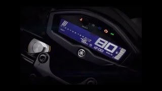 2016 Yamaha MT - 15 (M - SLAZ Slash Your Darkness)