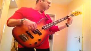 Moonlight  in New York - Bass Cover von ganzem Herzen für Carl Carlton #mandytobass / Mandyto Bass