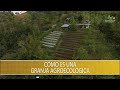 Como es una granja agroecologica - TvAgro por Juan Gonzalo Angel Restrepo