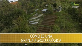 What is an agroecological farm? - TvAgro by Juan Gonzalo Angel Restrepo