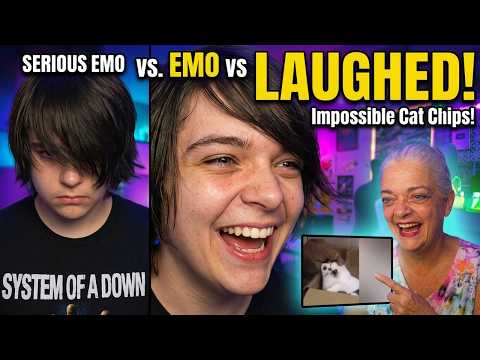 Making an EMO teen Laugh Funniest Cat Clips 2026 1
