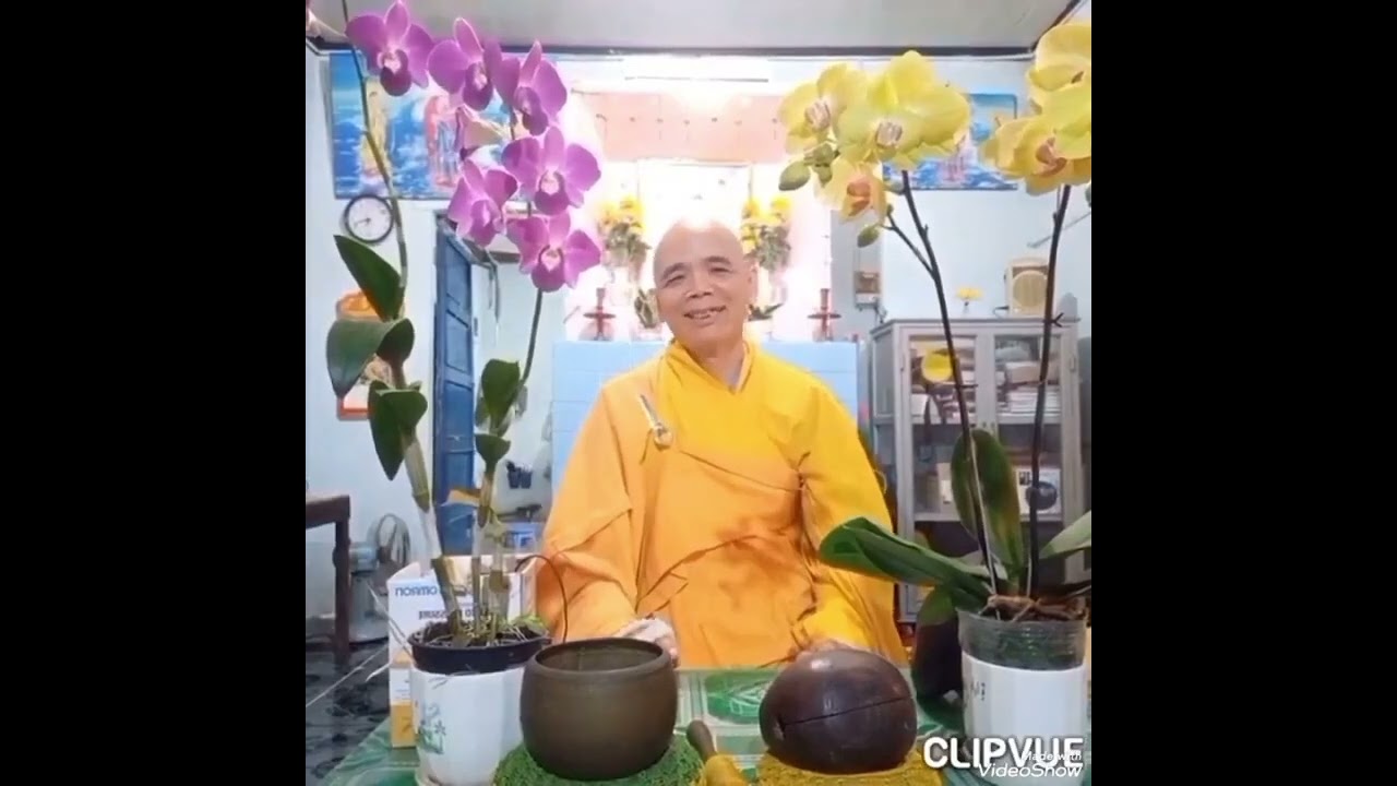 Học và sống theo đạo là phước báu khi làm người.