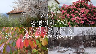 Goodbye 2020. four seasons of my small garden in 2020