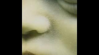 Sonne – Rammstein | no guitar