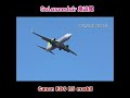 【鬼追尾】Solaseedair 阿蘇くまモン空港😸🌿🦜