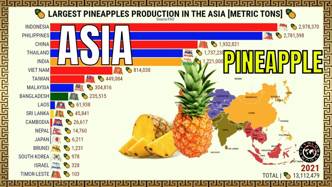 The Largest Pineapples Producers in the Asia YouTube