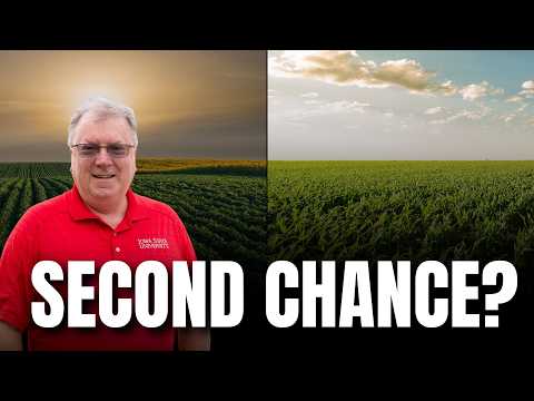 Second-Chance Rally for Corn and Soybeans? – Weekly Market Outlook: July 6–10