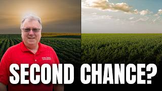 Second-Chance Rally for Corn and Soybeans – Weekly Market Outlook: July 6–10