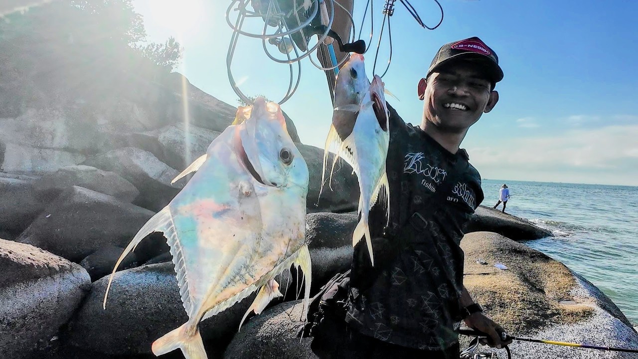 Ikan Makan di Awal Pagi. Musim Ebek di Pulau Rimau