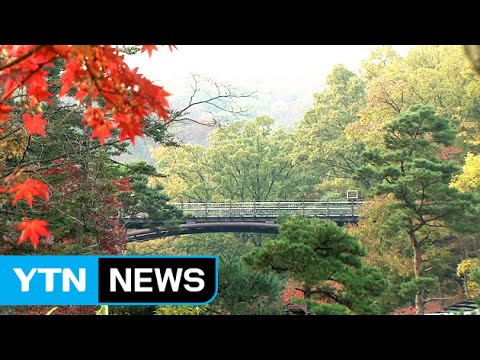 [날씨] 늦가을 단풍 절정, 내일도 미세먼지 주의 / YTN