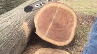 Stihl 461 Woodsport Ecsaws
