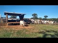 Fazenda a venda em Minas Gerais na cidade do Prata MG#Triângulo mineiro