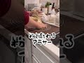 【夜な夜な】さつまいも消費。ホームベーカリー出すのめんどくさくて手捏ねして後悔した