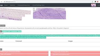 Pathy.app - Doing Questions screenshot 1