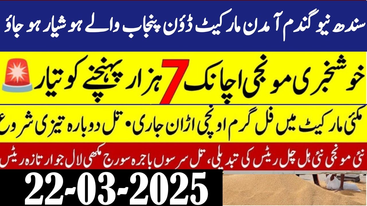 Breaking News wheat price today/wheat Future price 2025/New Munji rates ...