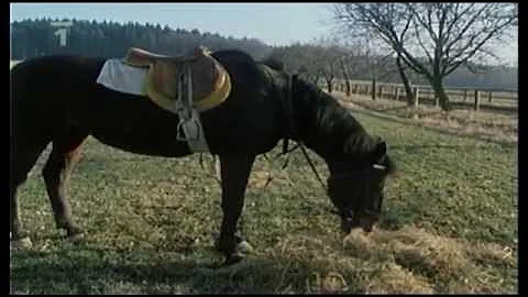 Proč je sladké arašídové máslo zdravější?