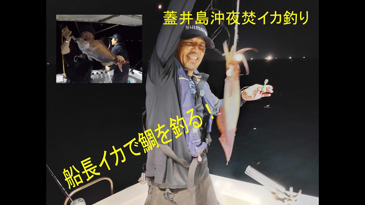夜焚イカ釣りで真鯛を釣る？